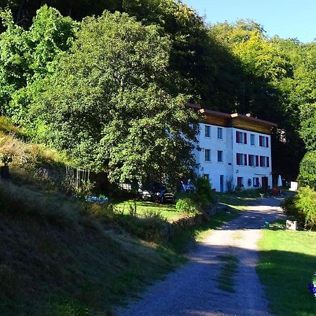 Domaine L'Imperatrice Διαμέρισμα Plombières-les-Bains Εξωτερικό φωτογραφία